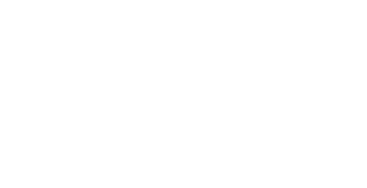 Bless Feel Logo